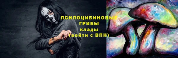 тгк Бородино