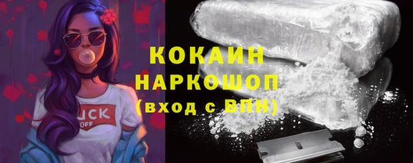 тгк Бородино