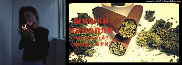 молекула духа Богородицк