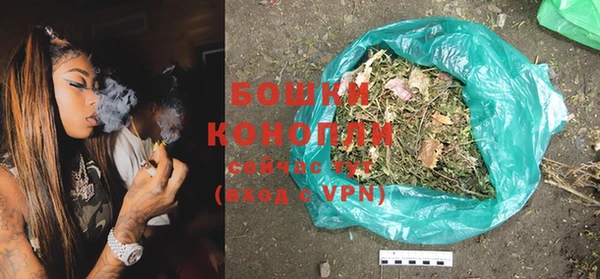 тгк Бородино