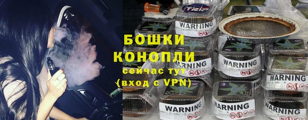 тгк Бородино
