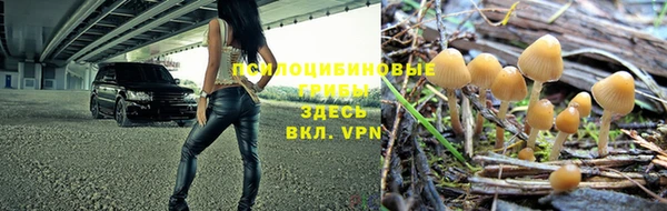 трава Бугульма