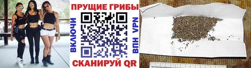 Галлюциногенные грибы GOLDEN TEACHER  Северобайкальск 