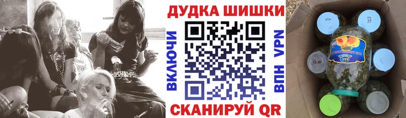 Бошки марихуана конопля  как найти закладки  Северобайкальск 